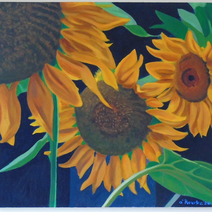 Canvas painting of 3 large sunflowers by Irish Artist David O'Rourke